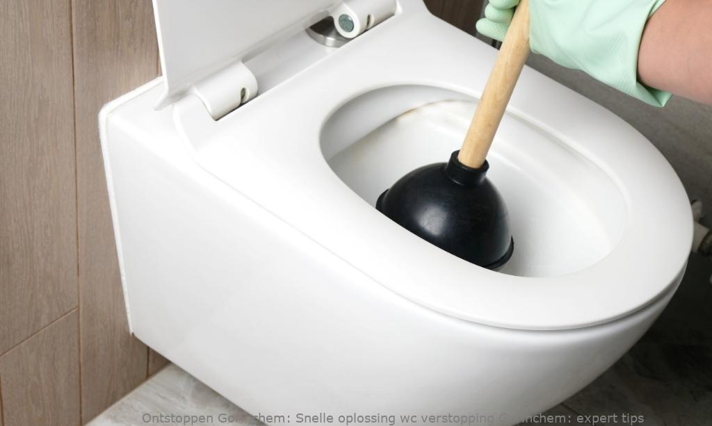 Snelle oplossing wc verstopping Gorinchem: expert tips